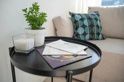 a black coffee table with a potted plant on it at Šviesos Apartamentai in Anykščiai