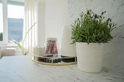 two white vases sitting on a counter with a plant at Šviesos Apartamentai in Anykščiai