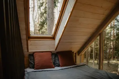 a bed in a tiny house with a window at Private cosy forest cabin in Inturkė