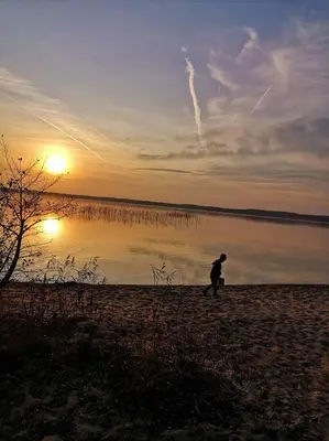 a person walking on the beach at sunset at Private cosy forest cabin in Inturkė