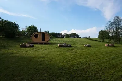 a group of pigs in a field with a hobbit house at R&M Resort in Petkėniškės