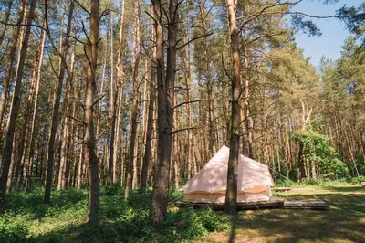 a tent in the middle of a forest at Natur Camp Glamping Birštonas in Birštonas