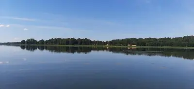 a large body of water with trees in the background at Vila Galadusis prie ežero in Lazdijai