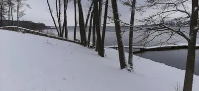 a snow covered path next to a body of water at Vila Galadusis prie ežero in Lazdijai