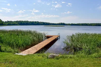 a wooden dock on a large lake with grass at Sodyba Pivašiūnuose ant ežero kranto in Pivašiūnai