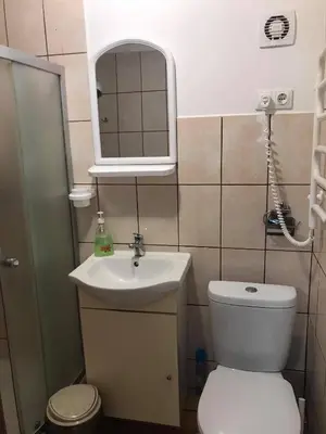 a bathroom with a toilet and a sink and a mirror at Rooms for Rent near Vilnius in Bezdonys