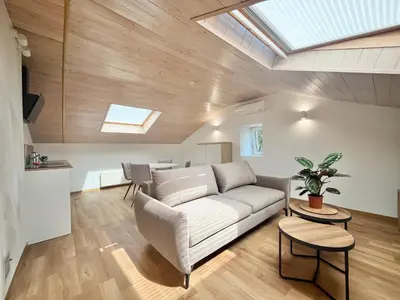 a living room with a couch and a skylight at Exclusive OldNew apartments in city center in Panevėžys