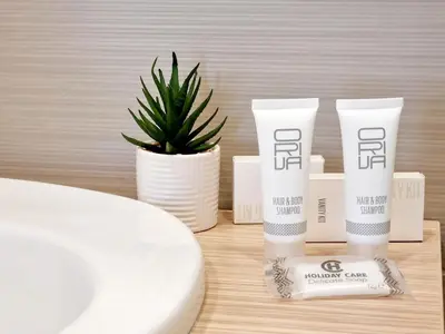 a table with two products and a potted plant at MELODIJA apartments in Druskininkai center in Druskininkai