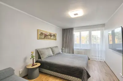 a bedroom with a bed and a couch at Sonatina apartment in Druskininkai