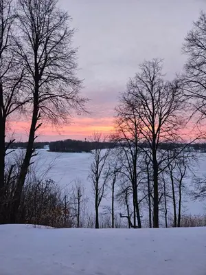 a group of trees in the snow in front of a lake at Volunge house in Doškonys