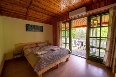 a bedroom with a bed in a room with windows at Alaušo Salos - Malinauskų kaimo turizmo sodyba in Sudeikiai