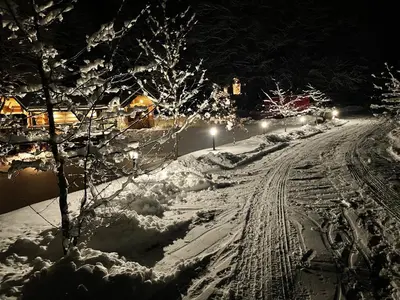 Gallery image of Gervės dvaro svečių namelis in Vėžionys