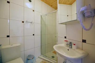 a bathroom with a toilet and a sink and a shower at Žemyna Apartmentai in Druskininkai