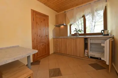 a kitchen with wooden cabinets and a window and a sink at Žemyna Apartmentai in Druskininkai