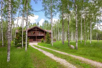 a log cabin in a forest with a dirt road in front at Friends & Family Getaway to Forest House by Reside Baltic in Samaka