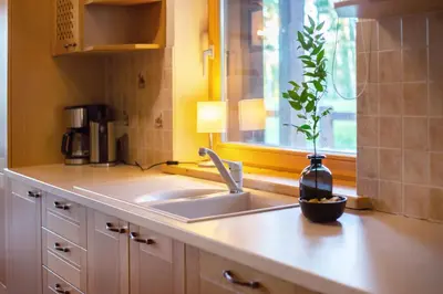 a kitchen counter with a sink and a plant in a bottle at Friends & Family Getaway to Forest House by Reside Baltic in Samaka