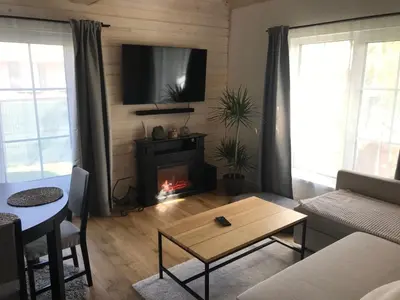 a living room with a fireplace and a couch at Cozy holiday house with sauna and entertainment in Puskelniai