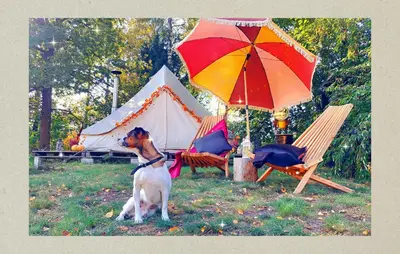 a dog sitting in the grass under an umbrella at Glamping in - luxury tent in Šunupis