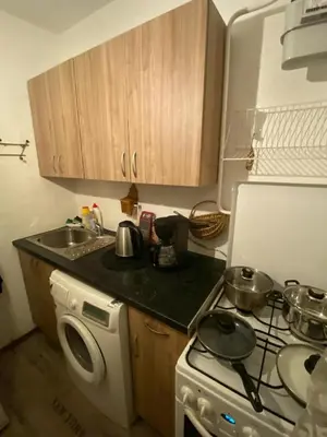 a small kitchen with a stove and a sink at Įdomus būstas ant Neries skardžio in Vilnius