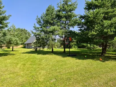 a basketball hoop in the middle of a field with trees at Rubikių Meldynas Anykščiai in Anykščiai