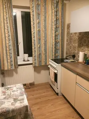a kitchen with a stove and a counter top at Jaukus būstas netoli Šaulio skulptūros in Druskininkai