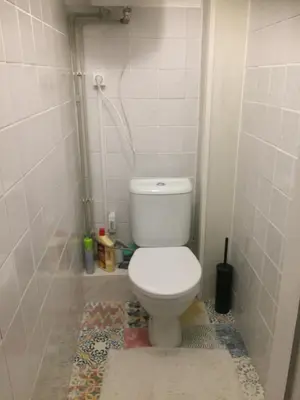 a small bathroom with a toilet and a shower at Jaukus būstas netoli Šaulio skulptūros in Druskininkai