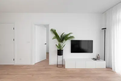 a living room with a tv and a potted plant at Brand New and Modern 1BDR Apartment in Vilnius