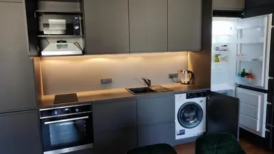 a kitchen with a washing machine and a washer at Dabintos Apartament Druskininkai in Druskininkai