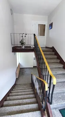 a stairway with a potted plant on a shelf at Dabintos Apartament Druskininkai in Druskininkai