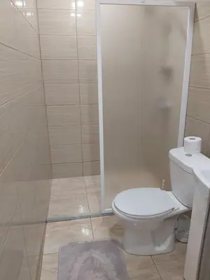 a bathroom with a white toilet and a shower at Užupio namai in Anykščiai