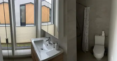 a bathroom with a sink and a toilet and a mirror at Apartamentai Muziejaus g. in Birštonas