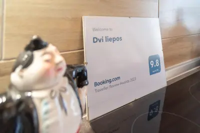 a toy figurine sitting next to a box at Dvi liepos in Merkinė