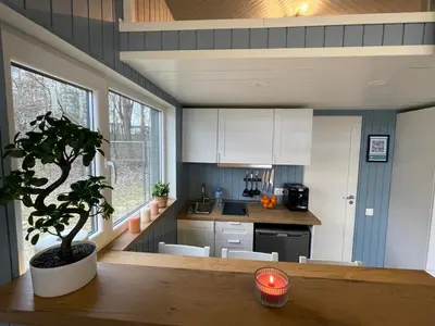 a kitchen with white cabinets and a potted tree in a room at Ignalinos Pliažo Klubas in Ignalina