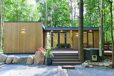 a modern house in the woods with trees at Forest relax in Svedai