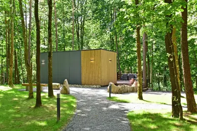 a building in the middle of a forest at Forest relax in Svedai