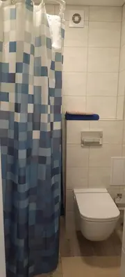a bathroom with a toilet and a shower curtain at Butukas in Anykščiai
