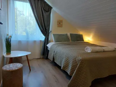 a bedroom with a large bed and a window at Apartments MILENA in Druskininkai