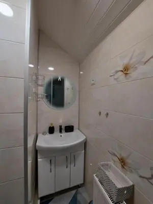 a bathroom with a sink and a mirror at Apartments MILENA in Druskininkai