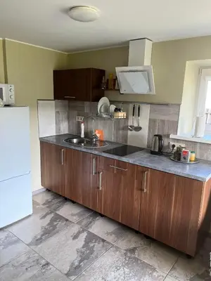 a kitchen with wooden cabinets and a sink at Pušynas1 in Anykščiai