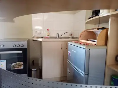a small kitchen with a sink and a refrigerator at Vilnius Cat Friendly in Vilnius