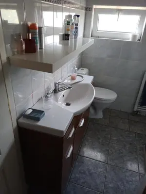 a bathroom with a sink and a toilet at Vilnius Cat Friendly in Vilnius