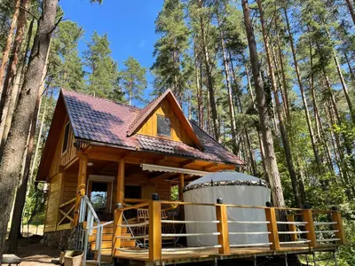 a tiny house in the woods with a barrel at Vila Paradise Bay in Smalvos