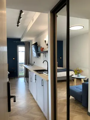 a kitchen with a sink and a living room at Salt Garden Apartments in Druskininkai