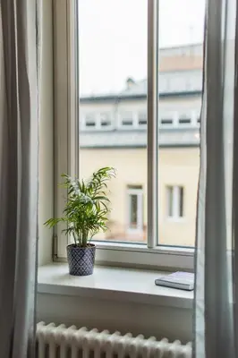 a potted plant sitting on a window sill at Stylish apartment in the heart of Kaunas Old Town in Kaunas