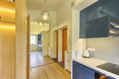 a kitchen with a sink and a counter top at Apartamentai Aqua in Druskininkai