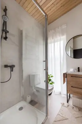 a bathroom with a shower and a toilet and a mirror at Pineplace in Joniškis