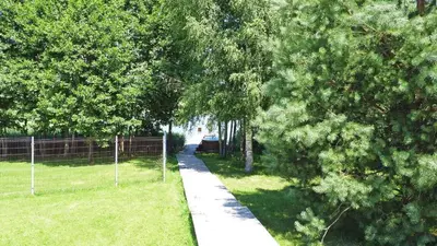 a path through a park with trees and a fence at Pineplace in Joniškis