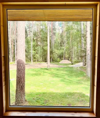 a window in a room with a view of a forest at Viesuliškės Lakeside Glamping in Lakaja