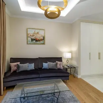 Luxury Central Apartment in Putvinskio street