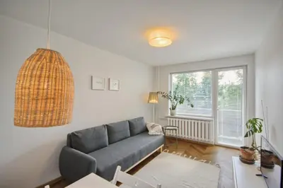a living room with a couch and a window at Modern and cozy flat in Druskininkai